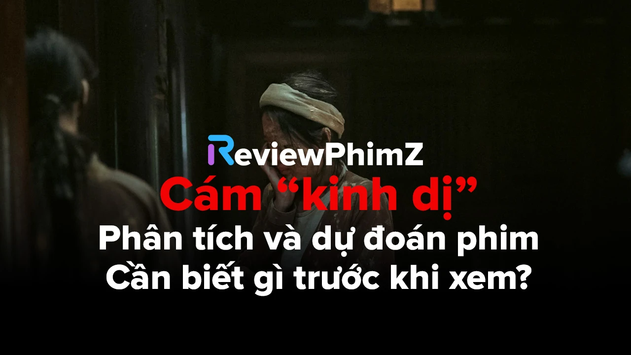 du-doan-va-phan-tich-cam-kinh-di-can-biet-gi-truoc-khi-xem